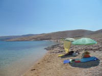 /album/pagi-srtrandok/dsc01938-jpg/