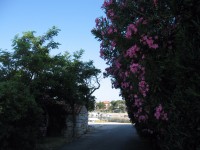 /album/mandre/img-1038-jpg/