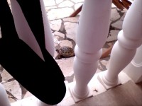 /album/fenykepgaleria/img-20170701-122617-jpg/