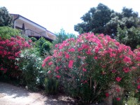 /album/fenykepgaleria/img-20170605-111504-1-jpg/